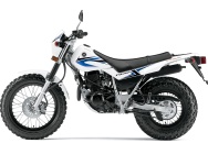 Мотоцикл Yamaha TW 200 2012 фото