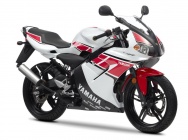 Мотоцикл Yamaha TZR 50 WGP 50TH 2012 фото