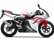 Мотоцикл Yamaha TZR 50 WGP 50TH 2012 фото