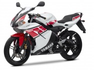 Мотоцикл Yamaha TZR 50 WGP 50TH 2012 фото