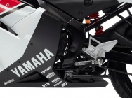 Мотоцикл Yamaha TZR 50 WGP 50TH 2012 фото