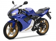 Мотоцикл Yamaha TZR 50 2013 фото