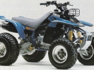Мотоцикл Yamaha WARRIOR 350 1989 фото