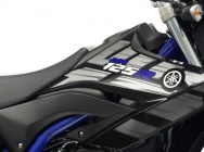 Мотоцикл Yamaha WR 125 R 2013 фото