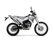 Мотоцикл Yamaha WR 250R 2008 фото