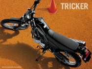 Мотоцикл Yamaha XG 250 TRICKER 2012 фото