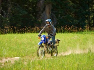 Мотоцикл Yamaha XT 250 2014 фото