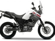 Мотоцикл Yamaha XT 660 Z TENERE 2008 фото