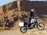 Мотоцикл Yamaha XT 660 Z TENERE 2008 фото