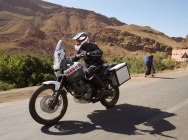 Мотоцикл Yamaha XT 660 Z TENERE 2008 фото