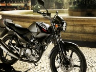 Мотоцикл Yamaha YBR 125 2013 фото