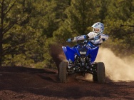 Мотоцикл Yamaha YFM 125 R 2012 фото