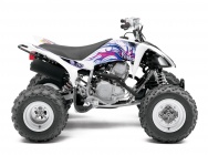 Мотоцикл Yamaha YFM 250 R RAPTOR US 2012 фото