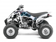 Мотоцикл Yamaha YFM 350 R RAPTOR US 2012 фото