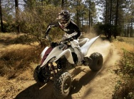 Мотоцикл Yamaha YFM 350 R RAPTOR 2010 фото
