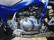 Мотоцикл Yamaha YFM 350 R RAPTOR 2010 фото