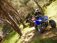 Мотоцикл Yamaha YFM 350 R RAPTOR 2012 фото