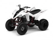 Мотоцикл Yamaha YFM 350 R 2009 фото