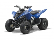 Мотоцикл Yamaha YFM 90 R 2011 фото