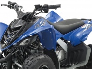 Мотоцикл Yamaha YFM 90 R 2011 фото