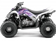 Мотоцикл Yamaha YFM 90 R 2012 фото
