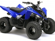 Мотоцикл Yamaha YFM 90 R 2012 фото