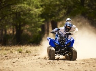Мотоцикл Yamaha YFM 90 R 2012 фото