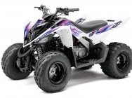 Мотоцикл Yamaha YFM 90 R 2012 фото
