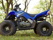 Мотоцикл Yamaha YFM 90 R 2012 фото