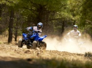 Мотоцикл Yamaha YFM 90 R 2012 фото