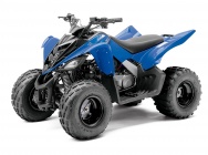 Мотоцикл Yamaha YFM 90 R 2012 фото