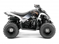 Мотоцикл Yamaha YFM 90 R 2012 фото