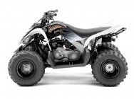 Мотоцикл Yamaha YFM 90 R 2012 фото