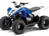 Мотоцикл Yamaha YFM 90 R 2013 фото