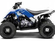 Мотоцикл Yamaha YFM 90 R 2013 фото