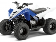 Мотоцикл Yamaha YFM 90 R 2013 фото