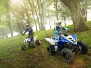 Мотоцикл Yamaha YFM 90 R 2013 фото