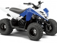 Мотоцикл Yamaha YFM 90 R 2013 фото