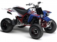 Мотоцикл Yamaha YFZ 350 BANSHEE 2010 фото
