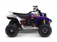 Мотоцикл Yamaha YFZ 350 BANSHEE 2010 фото