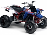Мотоцикл Yamaha YFZ 350 BANSHEE 2012 фото