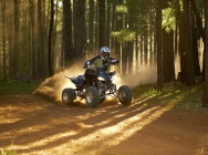 Мотоцикл Yamaha YFZ 450 2012 фото