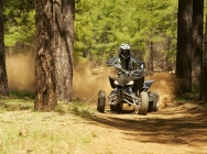 Мотоцикл Yamaha YFZ 450 2012 фото