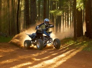 Мотоцикл Yamaha YFZ 450 2013 фото