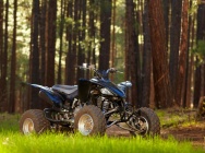 Мотоцикл Yamaha YFZ 450 2013 фото
