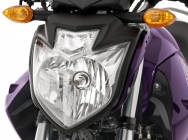 Мотоцикл Yamaha YS 250 FAZER ARGENTINA 2013 фото