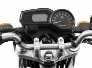 Мотоцикл Yamaha YS 250 FAZER ARGENTINA 2013 фото