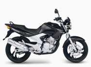 Мотоцикл Yamaha YS 250 Fazer 2009 фото