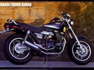 Мотоцикл Yamaha YX 600S Radian 1986 фото