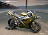 Мотоцикл Yamaha YZF-1000 R1 Gold Limited Edition 2004 фото